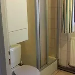 Dans Vielle Ferme Au Coeur Des Vosges *