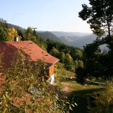 Dans Vielle Ferme Au Coeur Des Vosges Apartment Plainfaing