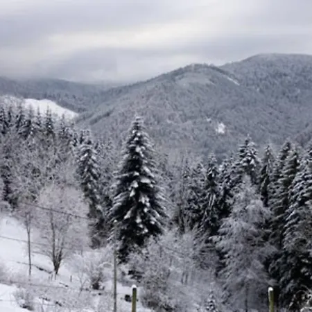 Dans Vielle Ferme Au Coeur Des Vosges Апартаменты Пленфэн