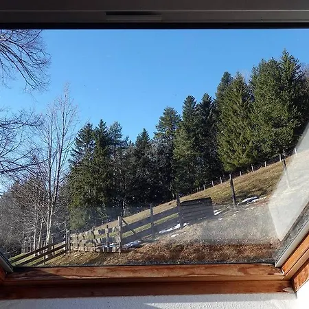 Dans Vielle Ferme Au Coeur Des Vosges Apartment Plainfaing