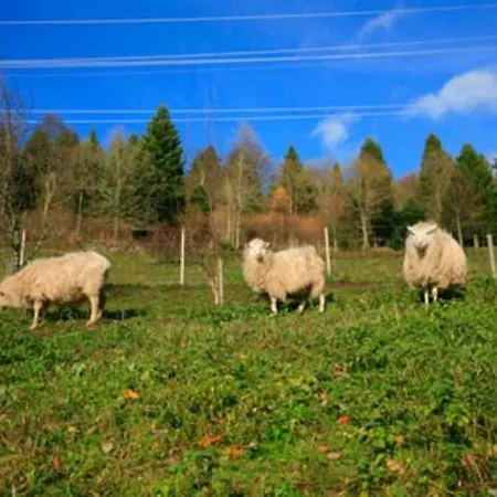 Dans Vielle Ferme Au Coeur Des Vosges *