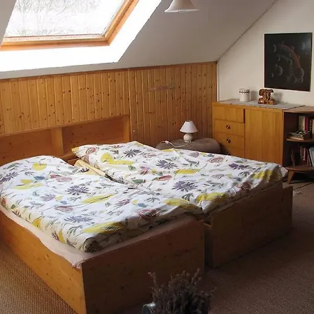 Apartment Dans Vielle Ferme Au Coeur Des Vosges Plainfaing