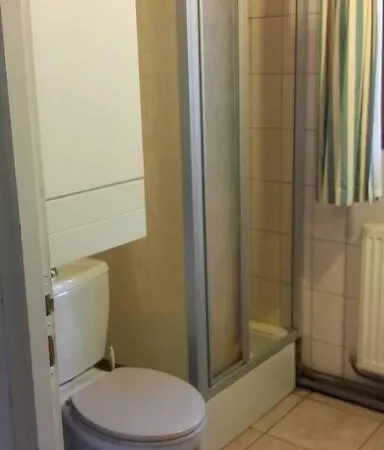 Dans Vielle Ferme Au Coeur Des Vosges *