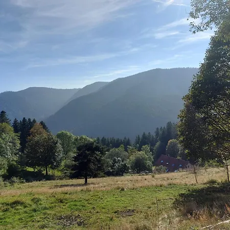 Dans Vielle Ferme Au Coeur Des Vosges Plainfaing