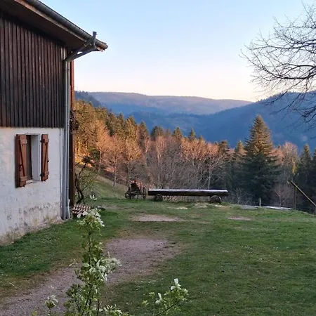 Dans Vielle Ferme Au Coeur Des Vosges * Plainfaing