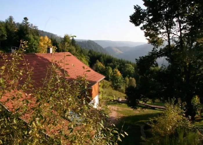 Dans Vielle Ferme Au Coeur Des Vosges Apartmán Plainfaing