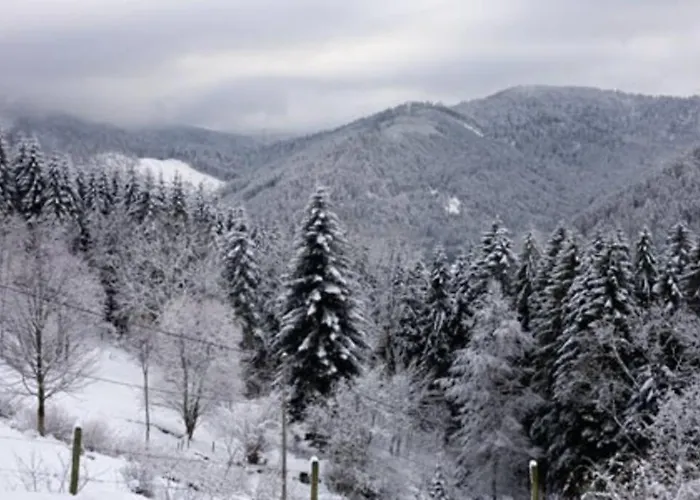 Dans Vielle Ferme Au Coeur Des Vosges Apartmán Plainfaing